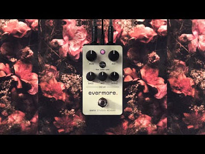 Universal Audion Evermore Studio Reverb Pedal