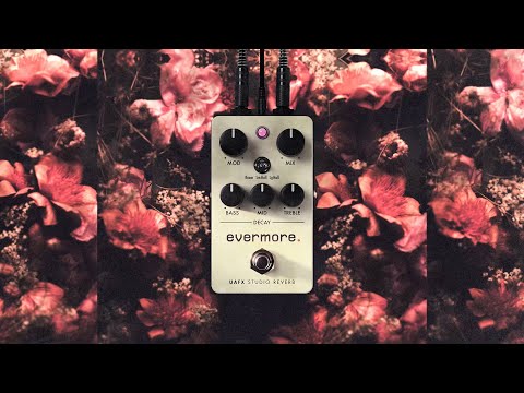 Universal Audion Evermore Studio Reverb Pedal
