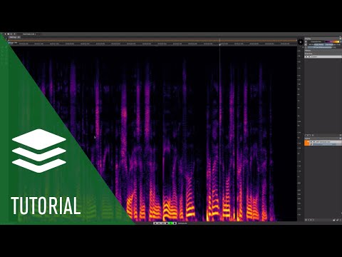 SpectraLayers Elements 13 Full Version