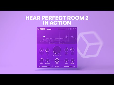 Denise Audio Perfect Room 2