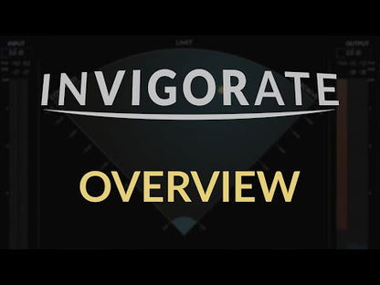 Newfangled Audio Invigorate