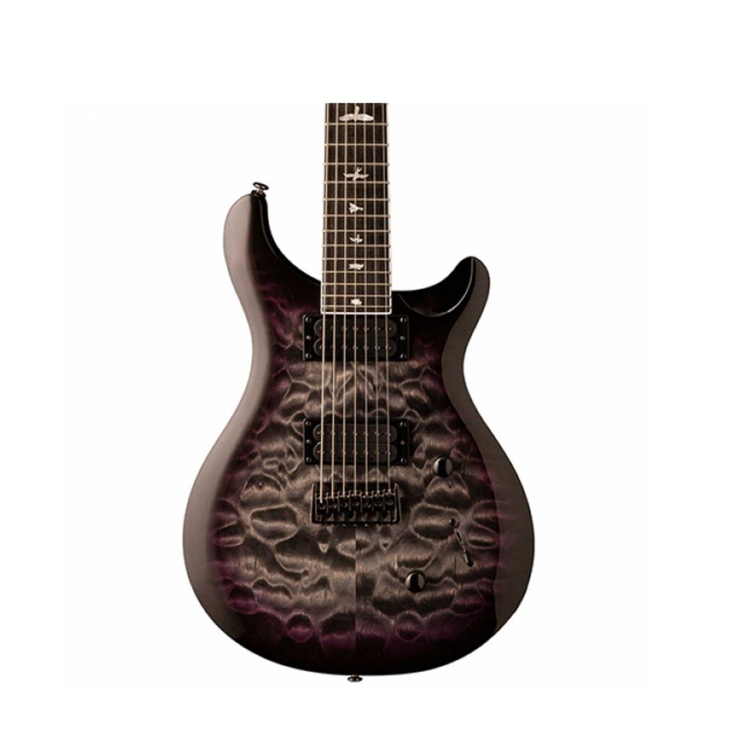 PRS SE Mark Holcomb 6 String Electric Guitar with Gigbag – BAJAAO.COM