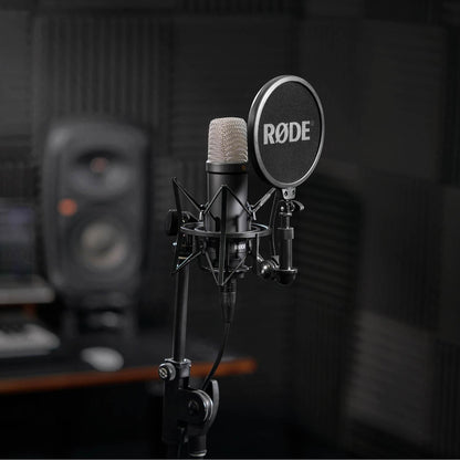 Rode Condenser Microphones Rode NT1 Signature Series Studio Condenser Microphone 