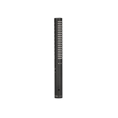 Rode Condenser Microphones RODE NTG1 Condenser Shotgun Microphone