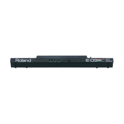 Roland Arranger Keyboards Roland E09IN Arranger Keyboard Indian Edition w/ Indian Sound Suite