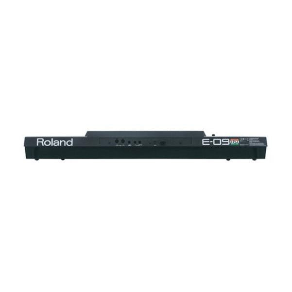 Roland Arranger Keyboards Roland E09IN Arranger Keyboard Indian Edition w/ Indian Sound Suite