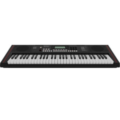 Roland Arranger Keyboards Roland EX-10 Arranger Keyboard