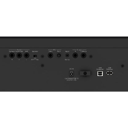 Roland Digital Pianos Black Roland FP-60X 88 Keys Digital Piano