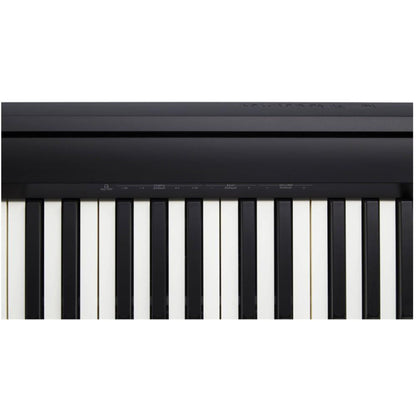 Roland Digital Pianos Roland FP-10 88-Key Digital Piano - Black