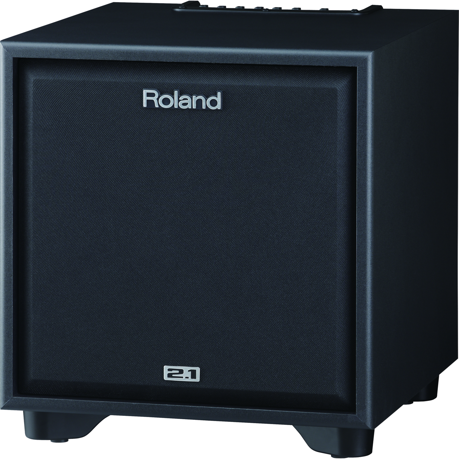 Roland Drum Amplifiers Roland CM-220 2.1 Monitor System