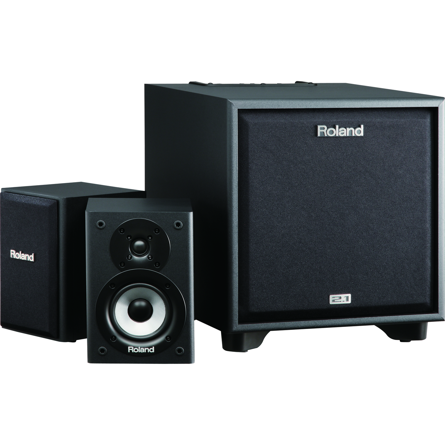 Roland Drum Amplifiers Roland CM-220 2.1 Monitor System