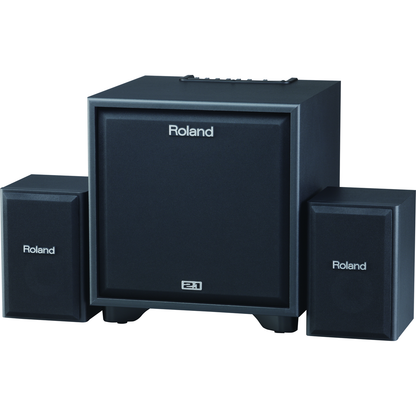 Roland Drum Amplifiers Roland CM-220 2.1 Monitor System