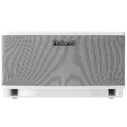 Roland Guitar Combo Amplifiers Roland CUBE Lite Stereo Monitor System