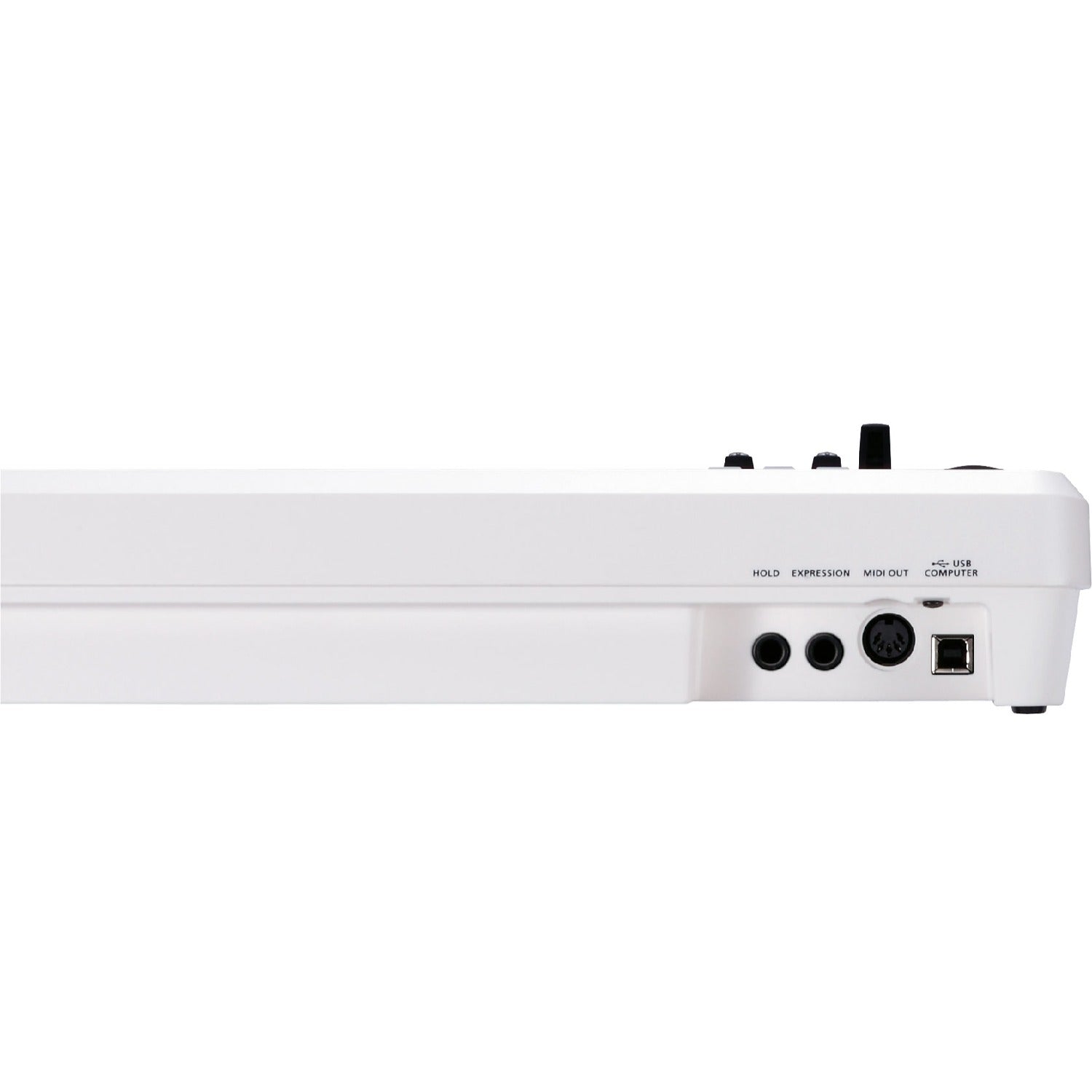 Roland Midi Keyboards Roland A-49 MIDI Keyboard #color_white