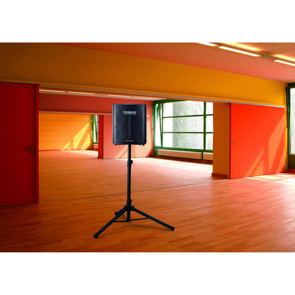Roland Portable Pa Systems Roland BA-330 Battery Powered Portable Stereo PA System