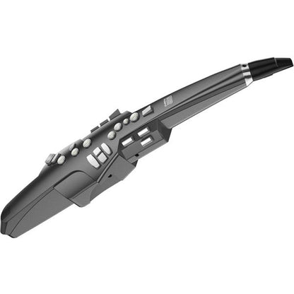 Roland Wind Instruments Graphite Black Roland Aerophone AE-10 Digital Wind Instrument