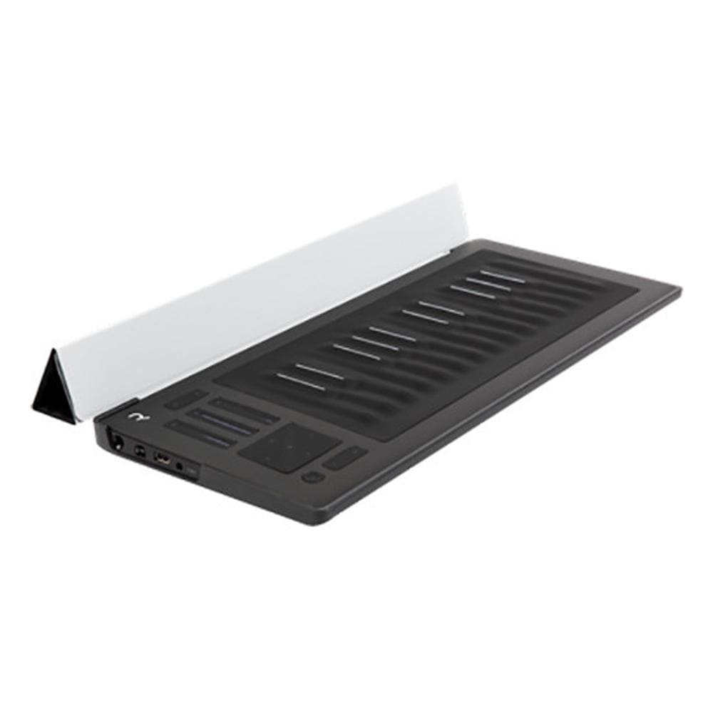 roli keyboard accessories silver roli seaboard rise flip case and stand    #color_silver