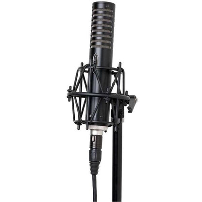 Royer Labs Condenser Microphones Royer Labs R101 Mono Ribbon Condenser Microphone