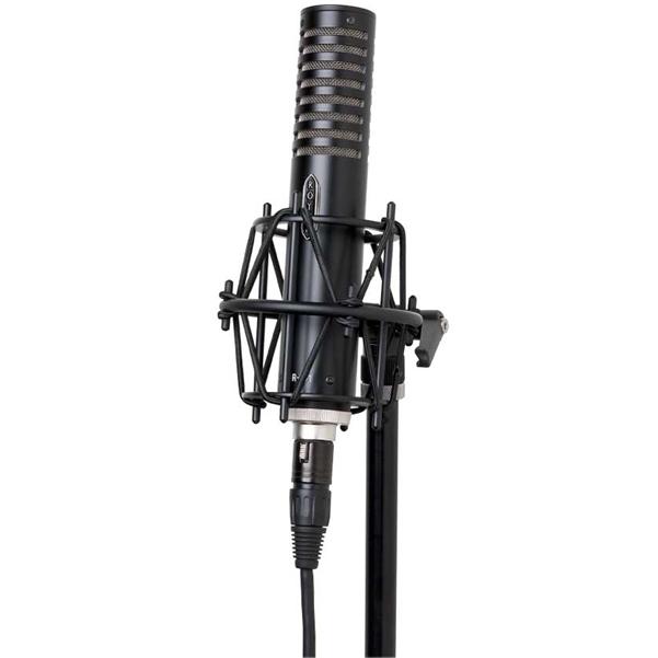 Royer Labs Condenser Microphones Royer Labs R101 Mono Ribbon Condenser Microphone