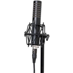 Royer Labs Condenser Microphones Royer Labs R101 Mono Ribbon Condenser Microphone