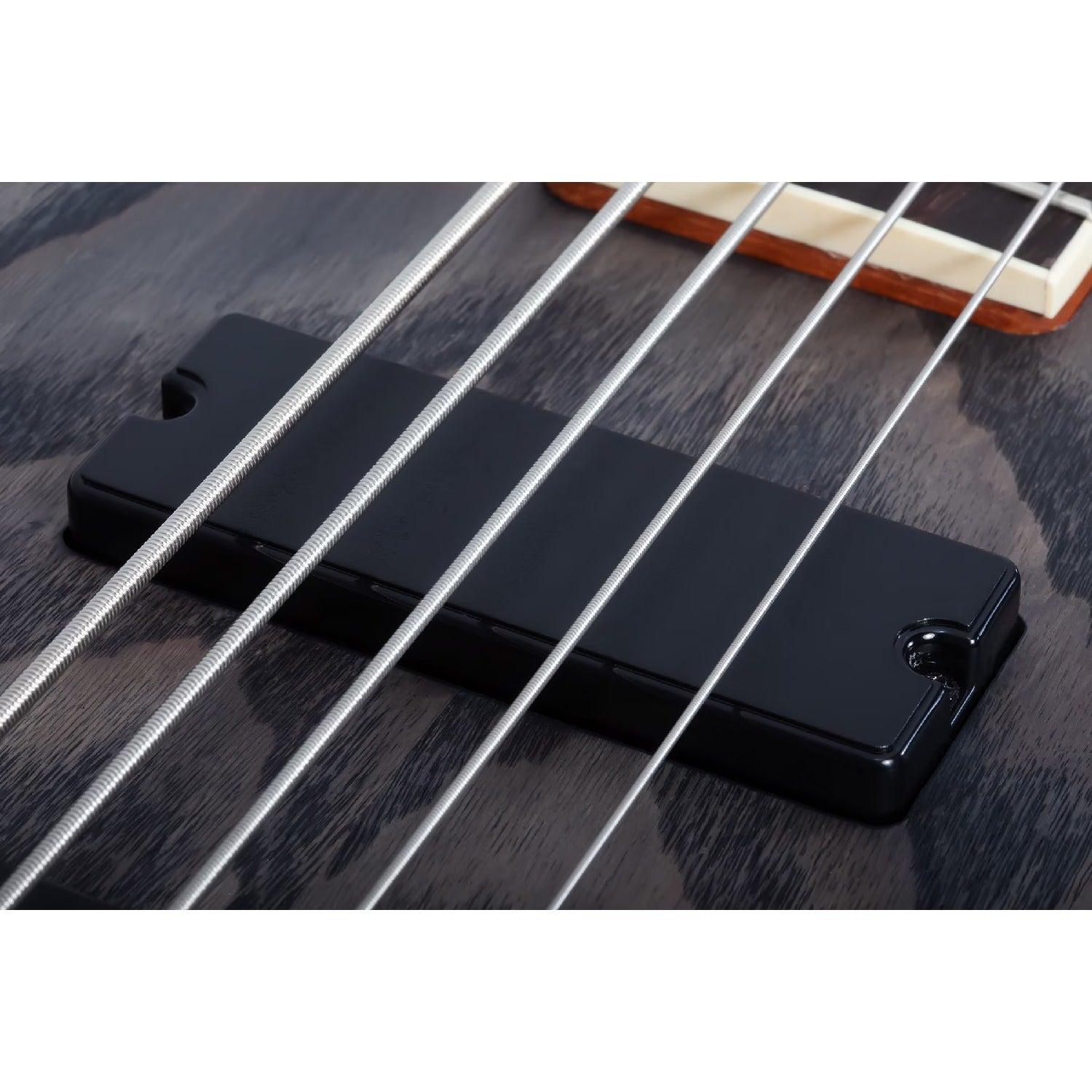 Schecter Bass Guitars Schecter C-5 Standard 5 String Bass Guitar