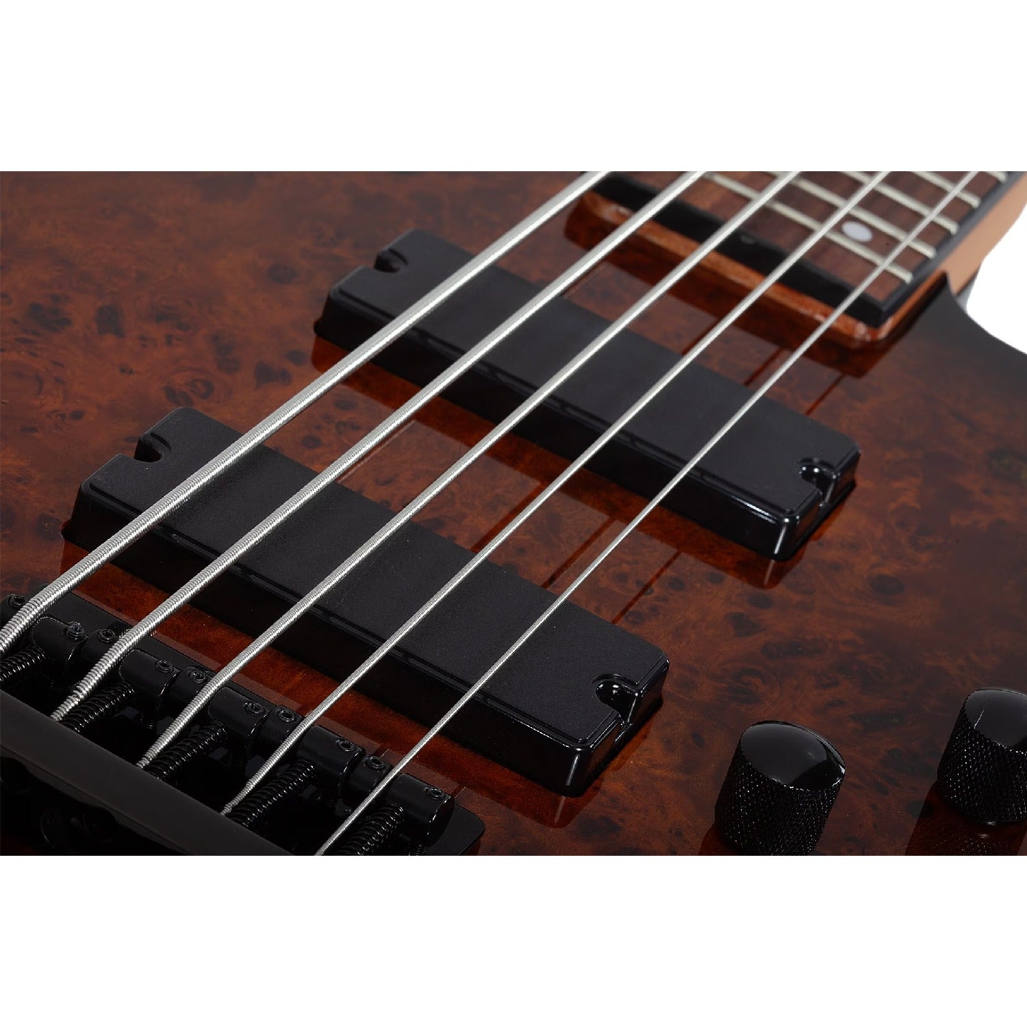 Schecter Bass Guitars Schecter C-5 Standard 5 String Bass Guitar