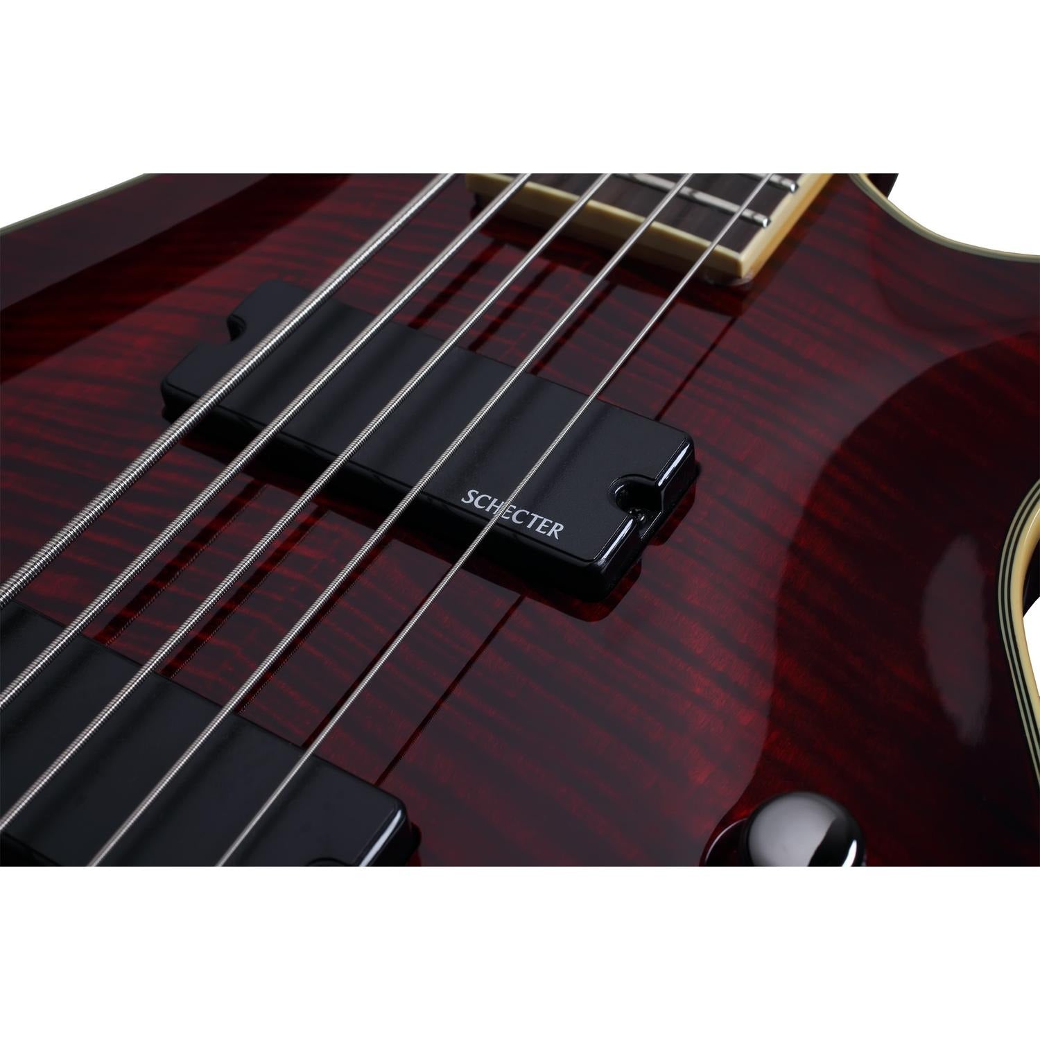 Schecter Bass Guitars Schecter Omen Extreme-5 5-String Bass Guitar
