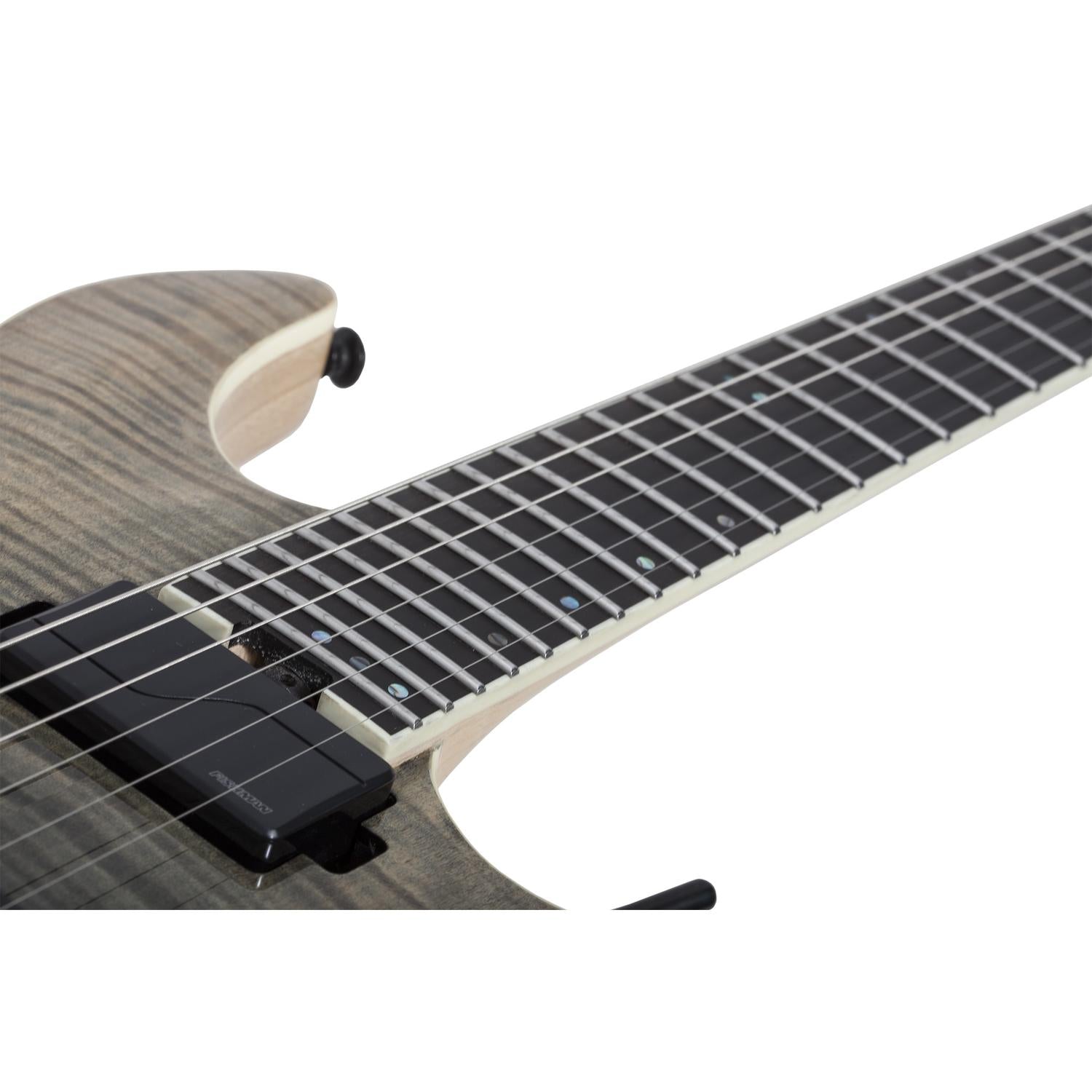 Schecter Electric Guitars Schecter C-1 FR S SLS Elite 6 Strings Electric Guitar- Black Fade Burst