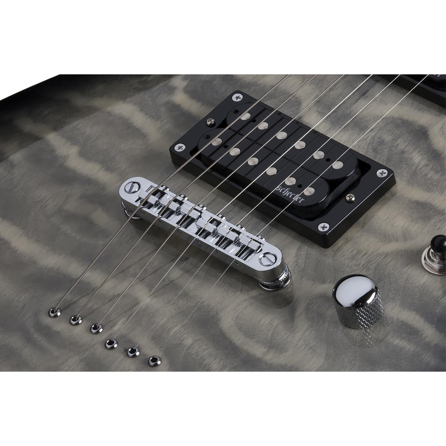 Schecter Electric Guitars Schecter C-6 Plus Electric Guitar