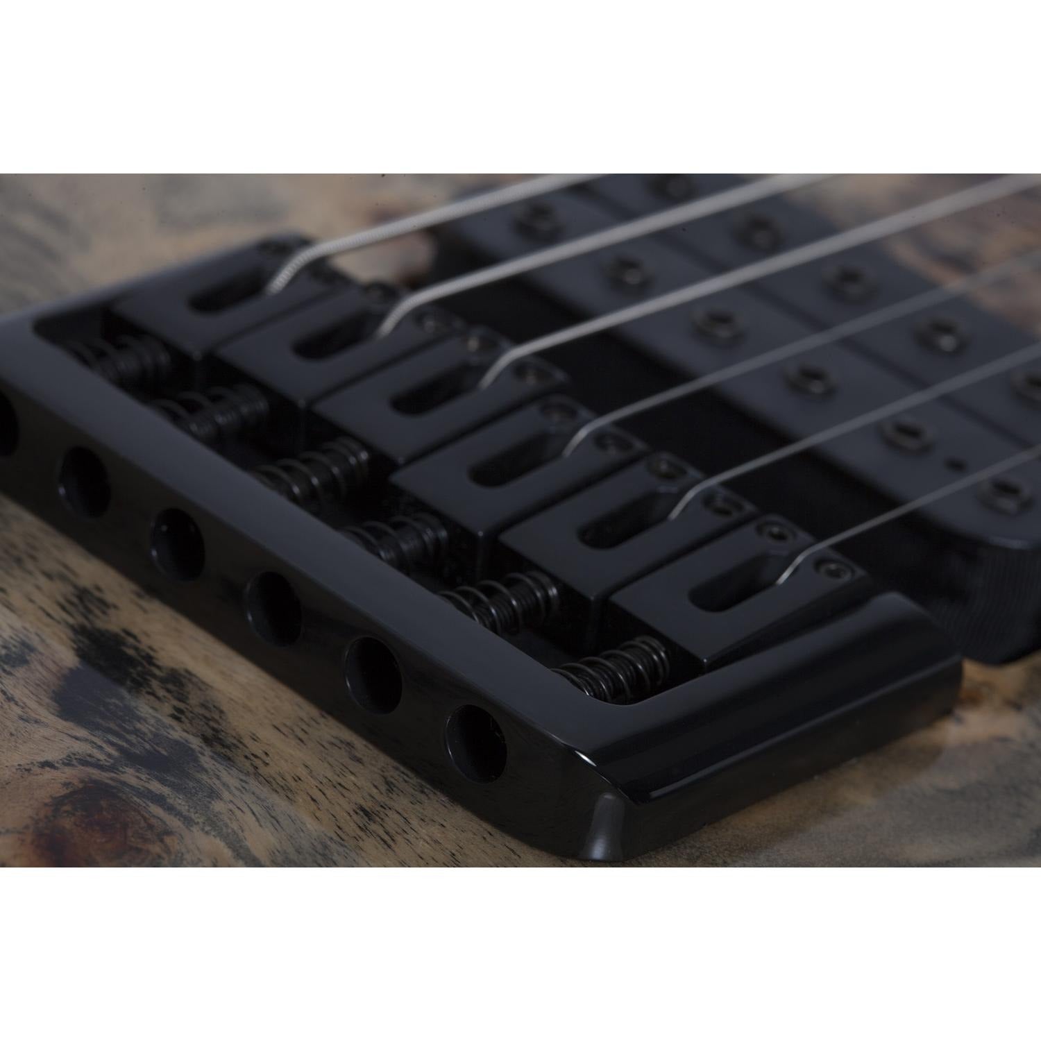 Schecter Electric Guitars Schecter C-6 Pro 6-String Electric Guitar