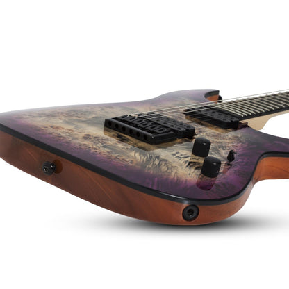 Schecter Electric Guitars Schecter C-6 Pro 6-String Electric Guitar 