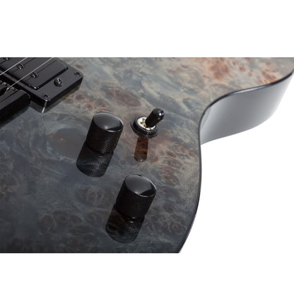 Schecter Electric Guitars Schecter PT Standard 6 String Electric Guitar 