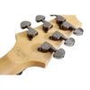Schecter Electric Guitars Schecter SGR C-1 6 String Electric Guitar With Gig Bag