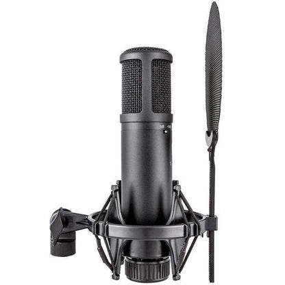 se electronics condenser microphones se electronics se2200 large diaphragm condenser microphone