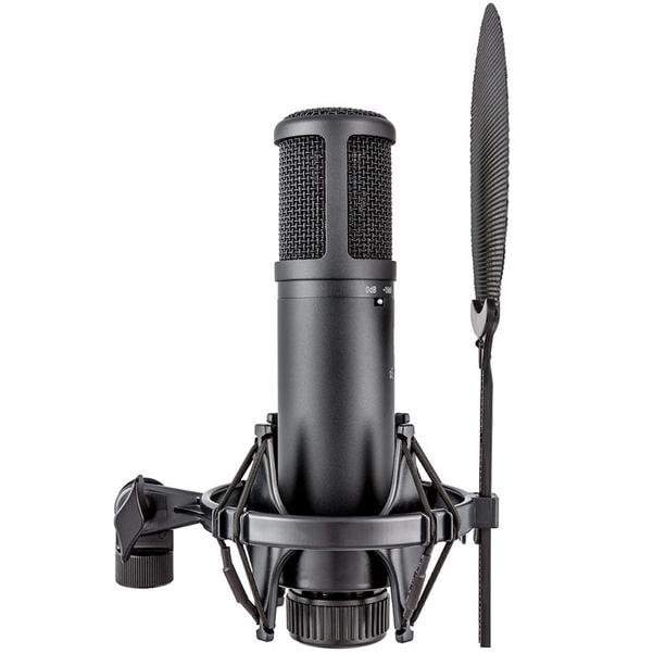 se electronics condenser microphones se electronics se2200 large diaphragm condenser microphone