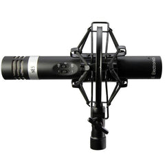 sE Electronics Condenser Microphones sE Electronics sE5 Small Diaphragm Condenser Microphone