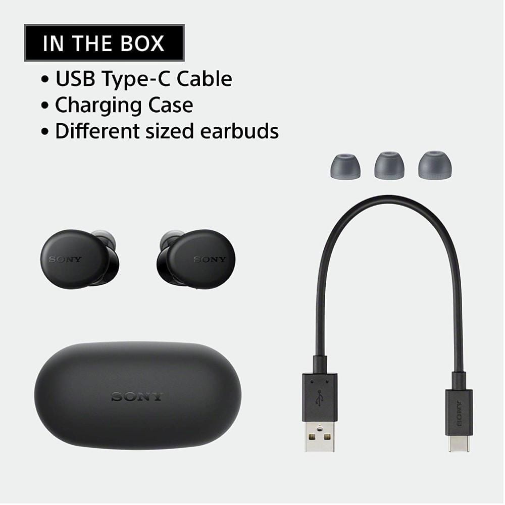 Sony True Wireless In-Ear Headphones Sony WF-XB700 Extra Bass Truly Wireless Bluetooth Earbuds