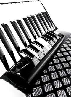 Startone Accordions Startone Flip 96 Accordion Black