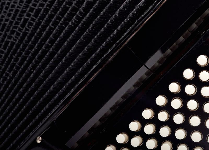 Startone Accordions Startone Piano Accordion 120 BK