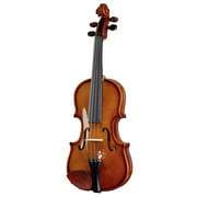 stentor violins stentor sr1400 violinset 1/8