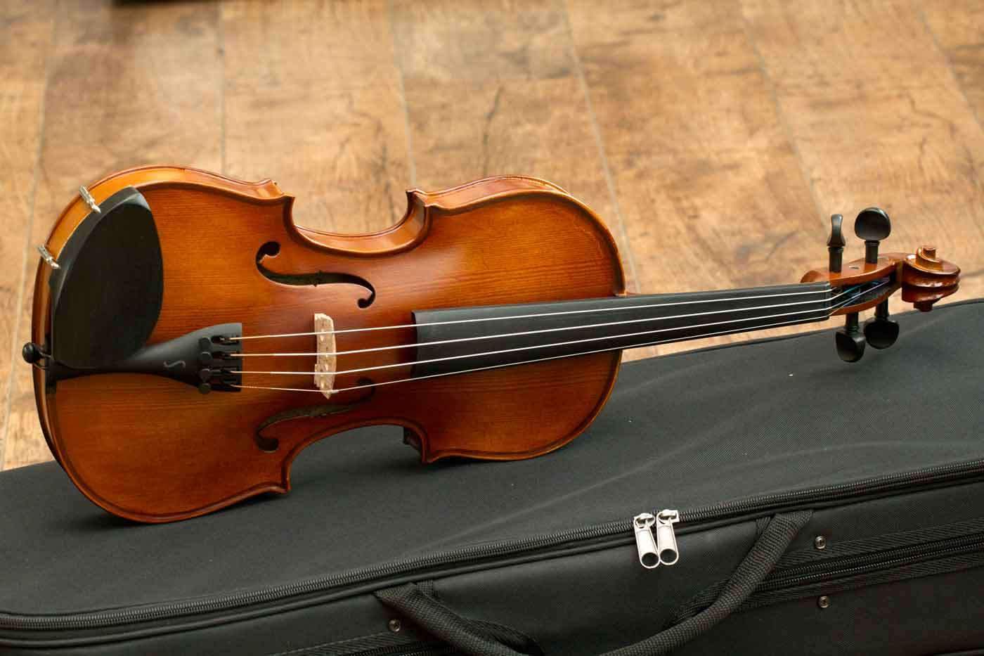 stentor violins stentor sr1542 violin graduate 3/4