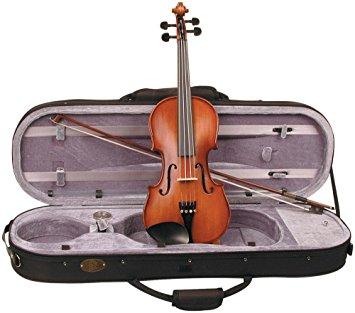 stentor violins stentor sr1542 violin graduate 4/4