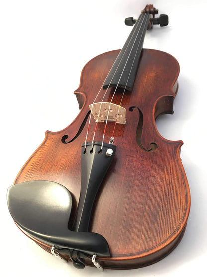 stentor violins stentor sr1875 violin elysia 4/4