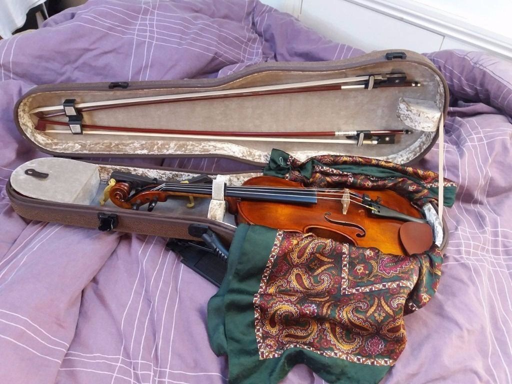 stentor violins stentor sr1884 violin arcadia antik