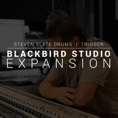 STEVEN SLATE Virtual Instruments Steven Slate Drums 5 SSD Blackbird Expansion