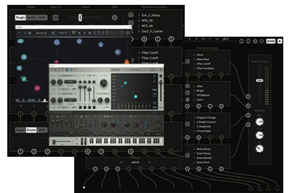 SugarBytes Virtual Instruments Sugar Bytes Nest: Granular Synthesizer