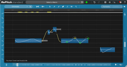 Synchro Arts Virtual Processors Synchro Arts RePitch Standard Crossgrade