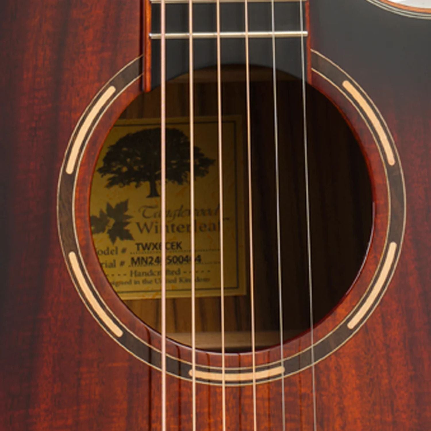 Tanglewood Electro Acoustic Guitars Autumn Burst Gloss Tanglewood TWX6CEK Winterleaf Venetian Cutaway Electro Acoustic Guitar 