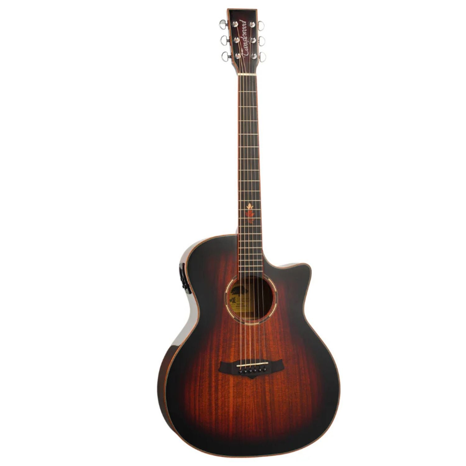 Tanglewood Electro Acoustic Guitars Autumn Burst Gloss Tanglewood TWX6CEK Winterleaf Venetian Cutaway Electro Acoustic Guitar 
