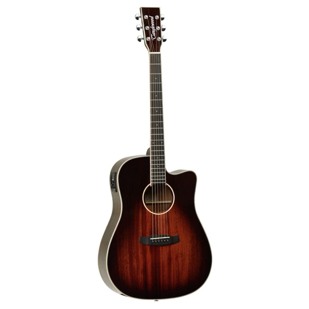 tanglewood electro acoustic guitars tanglewood tw5e avb winterleaf 6 string electro acoustic guitar